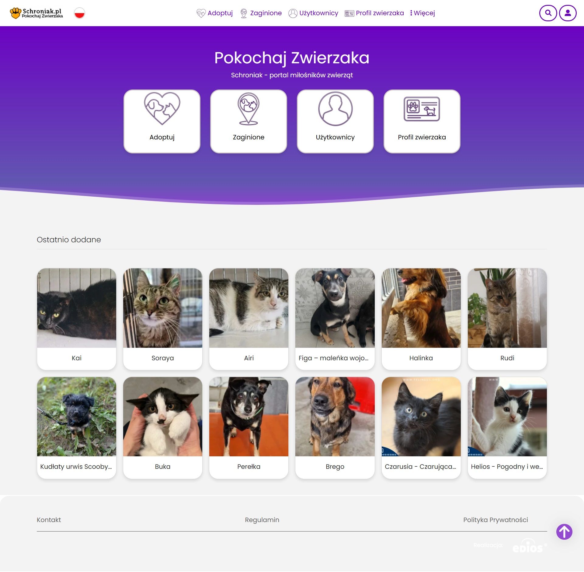 Portal adopcyjny Schroniak.pl – Pokochaj Zwierzaka